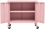 Armario de almacenamiento genérico rosa 60x35x56 cm de acero, Muebles, Armarios, Armarios de almacenaje y taquillas, 11,2 kg, 336265