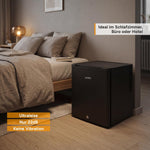 TZS First Austria - Mini Kühlschrank 30L komplett lautlos - Kleiner Minikühlschrank, wechselbarer Türanschlag & Innenbeleuchtung - Minibar für Camping, Büro, Schlafzimmer & Hotel - Mattschwarz