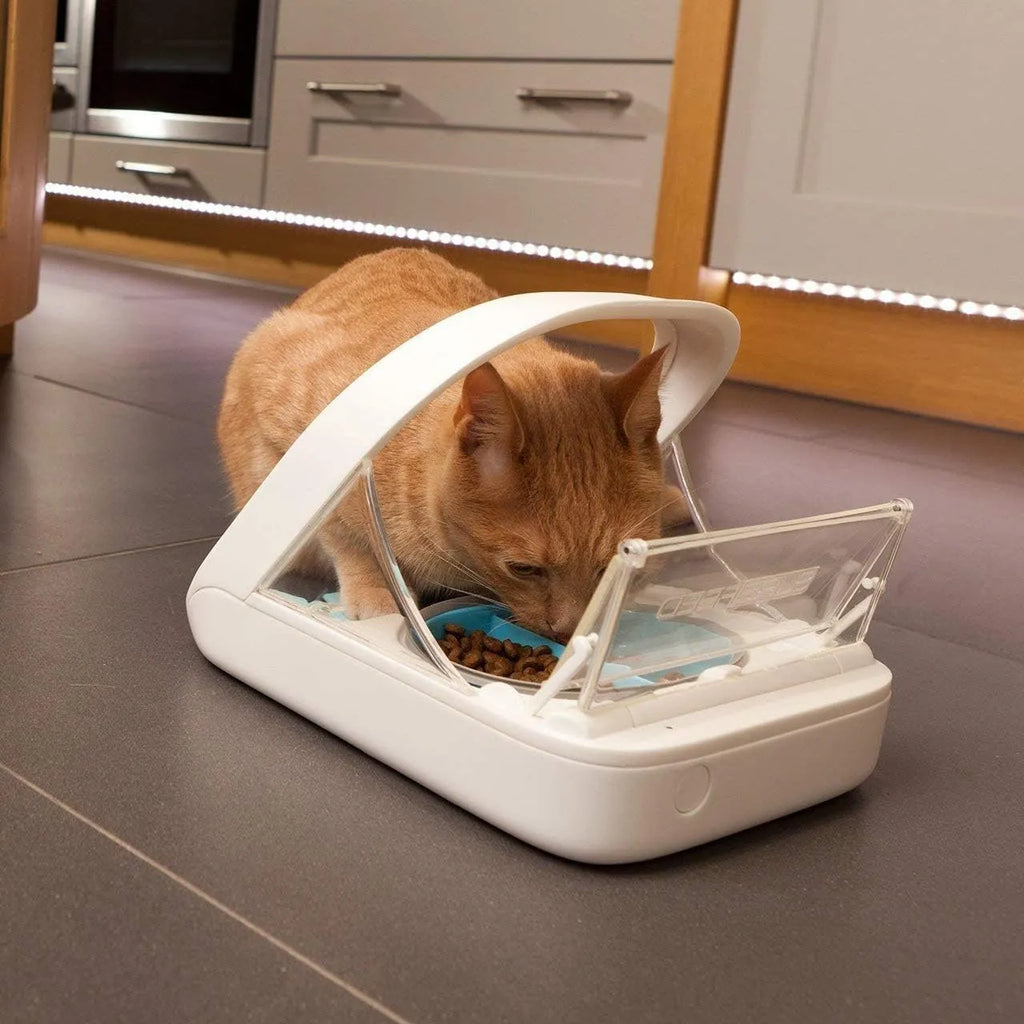Comedero automático para mascotas - Comedero con microchip para mascotas - MPF001 - Apto para comida húmeda y seca - Toalla para mascotas de regalo de eOutletDeals