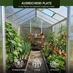 Invernadero de aluminio para jardín | 177*300*193 cm | Versátil: utilizable como invernadero, caseta de jardín, resistente al invierno, para cultivo, caseta para tomates, semillero y caseta para plantas, blanco