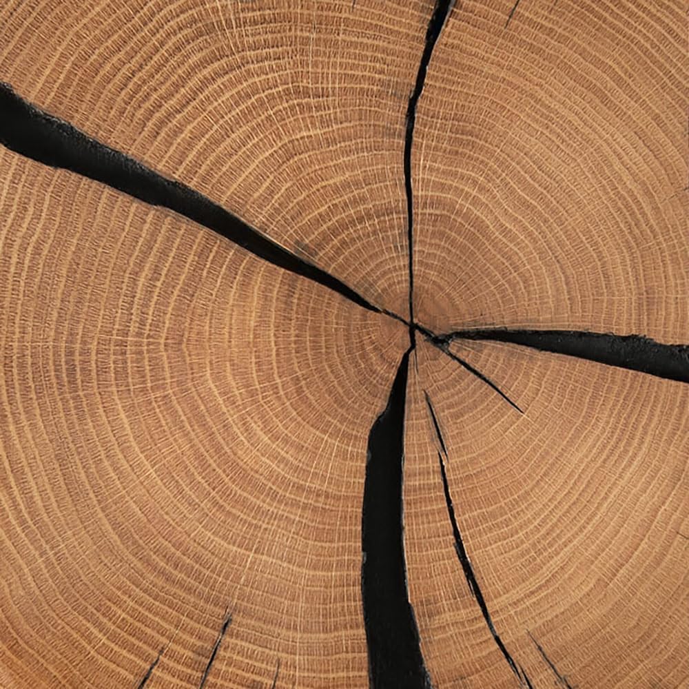 Lomadox Sitztruhe Massivholz Sitzbank Wäschetruhe Sitztruhe Betttruhe B/H/T ca. 80/40/40 cm modern in Eiche geölt mit Hirnholz