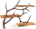 Kobolo Wandregal Hängeregal Bücherregal -AST Zweig- 3 Böden - 71x20x56 cm - Eisen und Holz