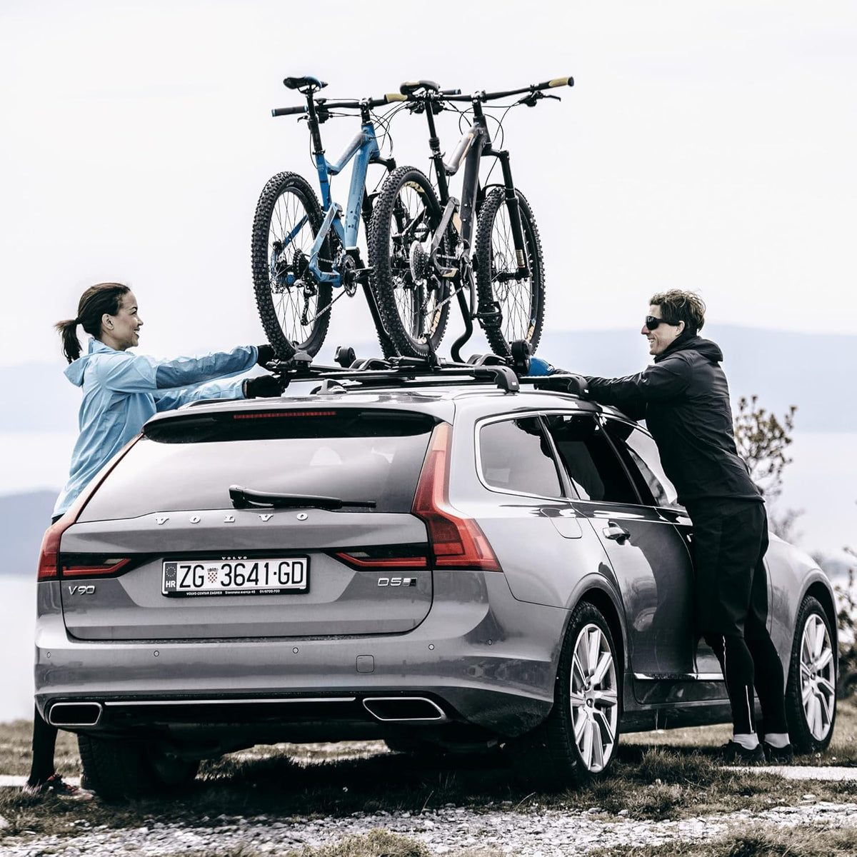 Thule ProRide, portabicicletas de techo vertical para un montaje rápido y cómodo, para bicicletas de hasta 20 kg, 598001, plata