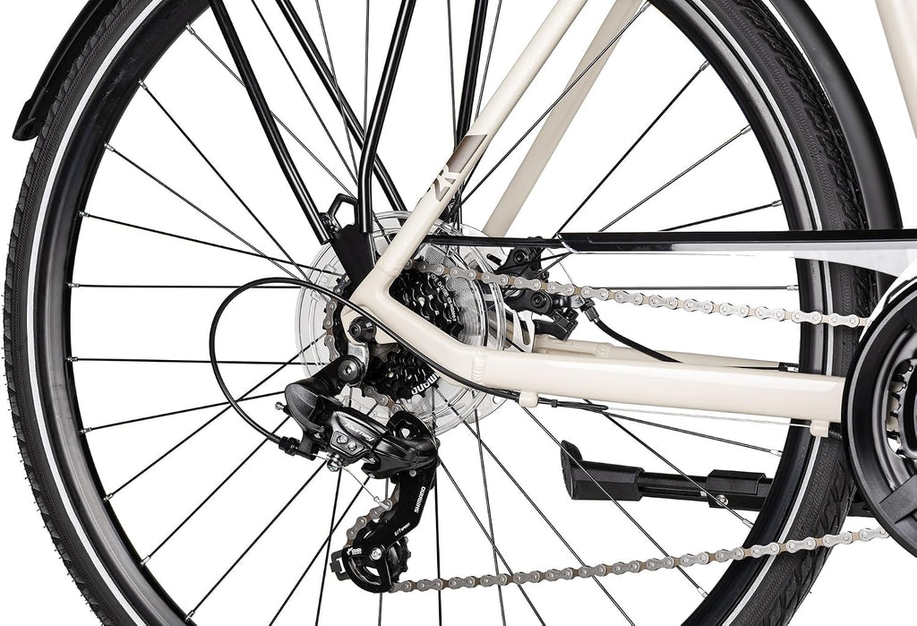 TRS GO | Bicicleta de trekking | Bicicleta para hombre de 28 pulgadas | Transmisión de 21 velocidades | Freno de disco mecánico | incluye equipamiento para carretera