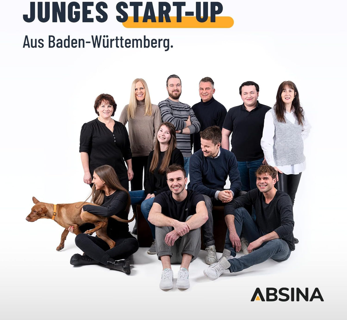 ABSINA Mobile Wallbox 11kW mit Einstellbarer Ladeleistung - Typ 2 Ladekabel E Auto 16A 3 phasig IP67 mit 6,6 m Kabel - 11kW Ladegerät für i3, e-Up, ID.3, Zoe, fortwo, Kona und viele mehr