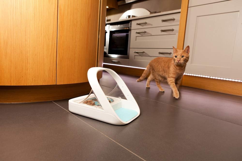 Comedero automático con microchip para mascotas Sure Petcare SureFeed, con tapa de cierre hermético, compatible con colgante de collar RFID, apto para comida húmeda y seca, funciona con pilas, blanco