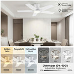Deckenventilator Mit Beleuchtung, 122 Cm Deckenventilator Mit Fernbedienung, Leise DC-Reversible Motor, 3CCT Speicher, Dimmbar, 6 Geschwindigkeitsstufen, Timer, Für Schlafzimmer, Weiß