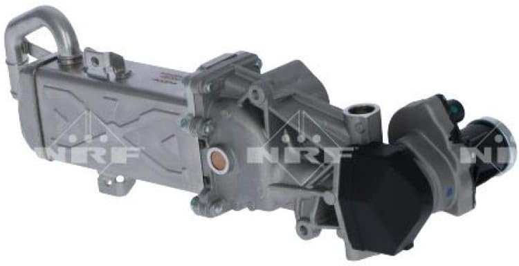 NRF 48213 Válvula EGR