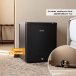 TZS First Austria - Mini Kühlschrank 30L komplett lautlos - Kleiner Minikühlschrank, wechselbarer Türanschlag & Innenbeleuchtung - Minibar für Camping, Büro, Schlafzimmer & Hotel - Mattschwarz