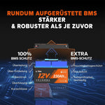 Batería Litime 12V 230Ah Plus LiFePO4 con protección a baja temperatura, BMS integrado de 200A, energía máx. de 2944Wh, batería de litio-ferrofosfato perfecta para autocaravanas, camping, sistemas solares, barcos y almacenamiento de energía doméstico.
