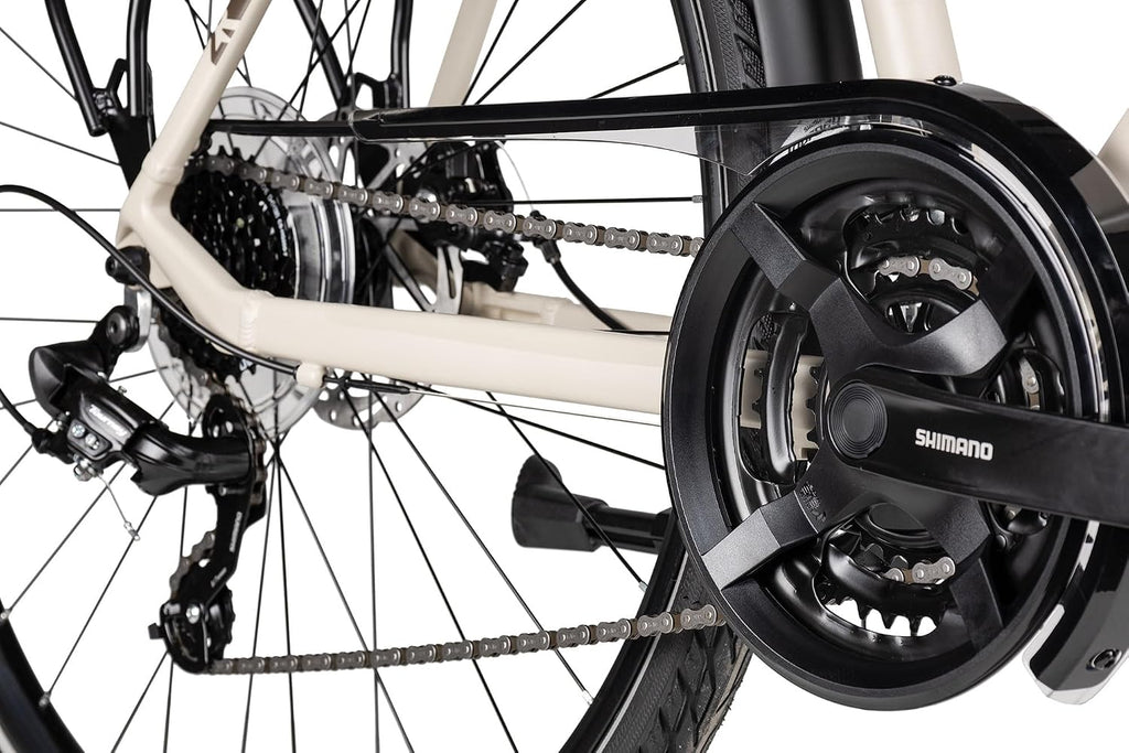 TRS GO | Bicicleta de trekking | Bicicleta para hombre de 28 pulgadas | Transmisión de 21 velocidades | Freno de disco mecánico | incluye equipamiento para carretera