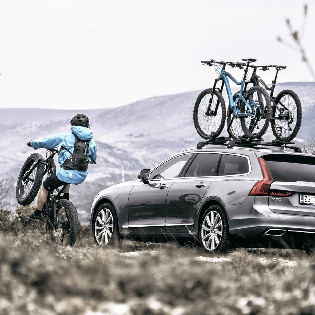 Thule ProRide, portabicicletas de techo vertical para un montaje rápido y cómodo, para bicicletas de hasta 20 kg, 598001, plata