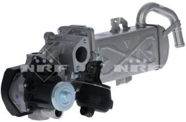 NRF 48213 Válvula EGR