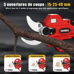 TEENO Tijeras de podar eléctricas 2 en 1 con pértiga telescópica, tijeras de podar inalámbricas de 40 mm con pantalla de 4000 mAh, 2 baterías de 2,0 Ah, para jardinería y árboles frutales