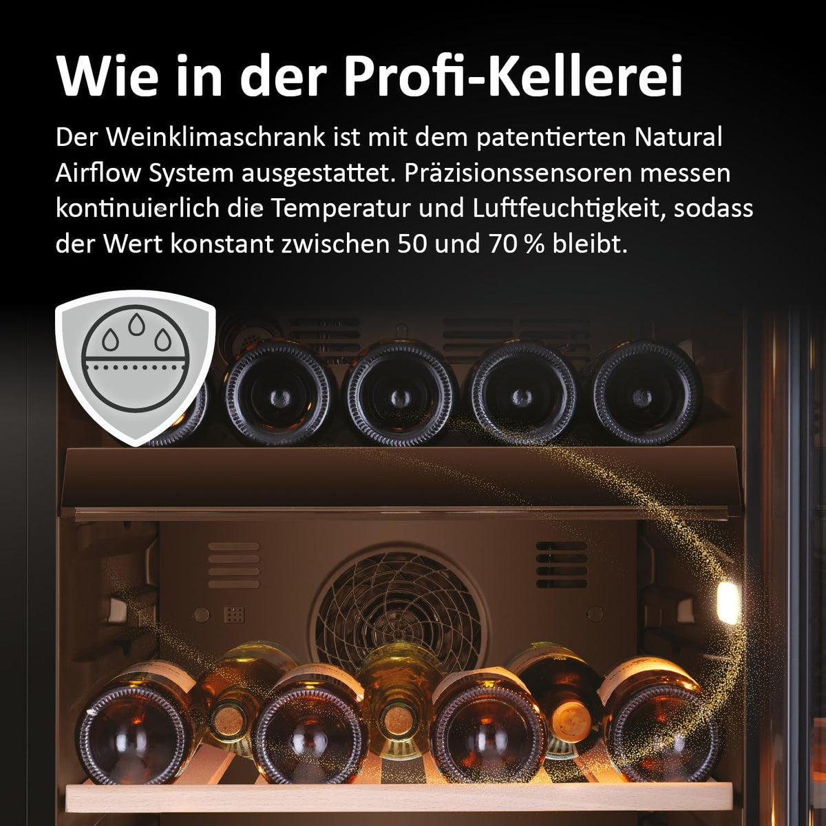 Vinoteca Haier SERIE 5 HWS79GDG I Bodega climatizada para 79 botellas I Nueva tecnología para un almacenamiento óptimo I Vinoteca de 2 zonas, puerta de cristal UV y 5 estantes de madera I Vinoteca de baja vibración