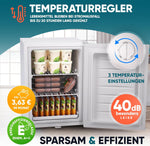 Stillstern Mini Gefrierschrank (42L) -18°C, Eiswürfelschale, Schloss, Türanschlag wechselbar, 4-Sterne Tiefkühlschrank für Camping/Büro Gefriertruhe Klein Gefrierschrank Klein Tiefkühltruhe Weiß