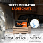 Batería Litime 12V 230Ah Plus LiFePO4 con protección a baja temperatura, BMS integrado de 200A, energía máx. de 2944Wh, batería de litio-ferrofosfato perfecta para autocaravanas, camping, sistemas solares, barcos y almacenamiento de energía doméstico.